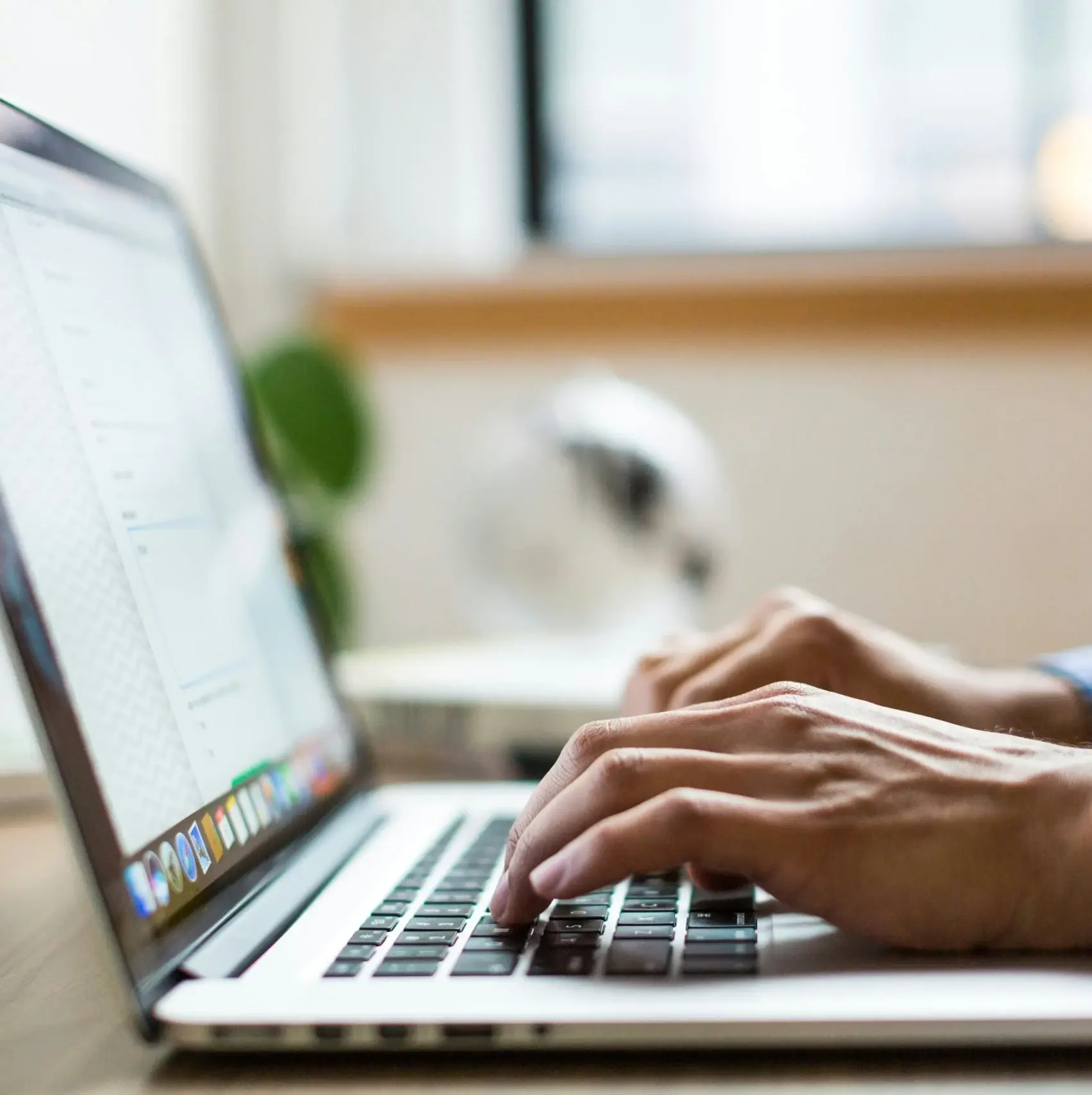 Triple Solar PVT-Check